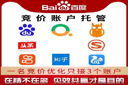 深入解析SEM竞价托管的成功案例